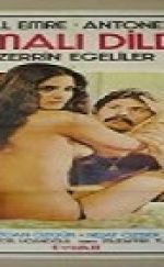 Turk Erotic Filmleri